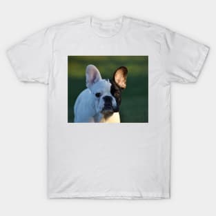 French bulldog T-Shirt